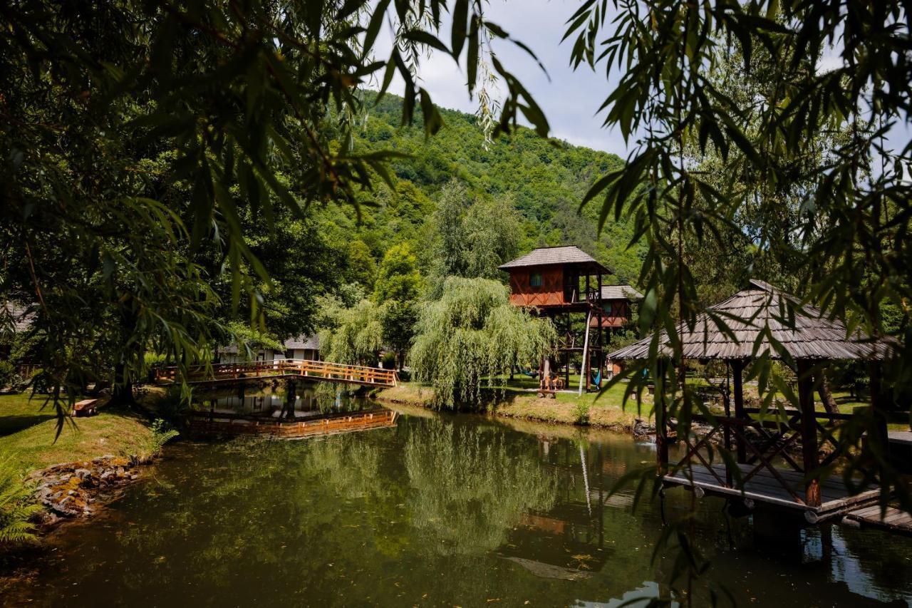 Fratii Jderi - Utopia Verde Brezoi Exteriér fotografie