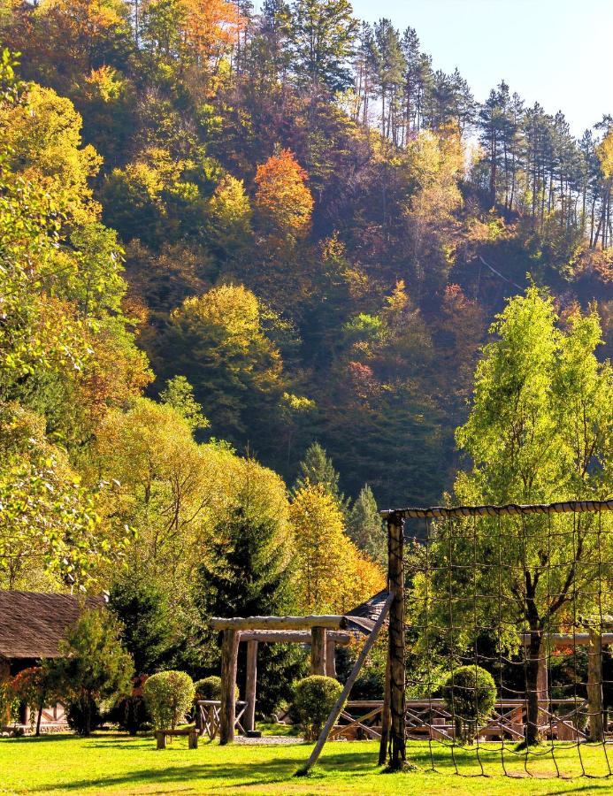Fratii Jderi - Utopia Verde Brezoi Exteriér fotografie