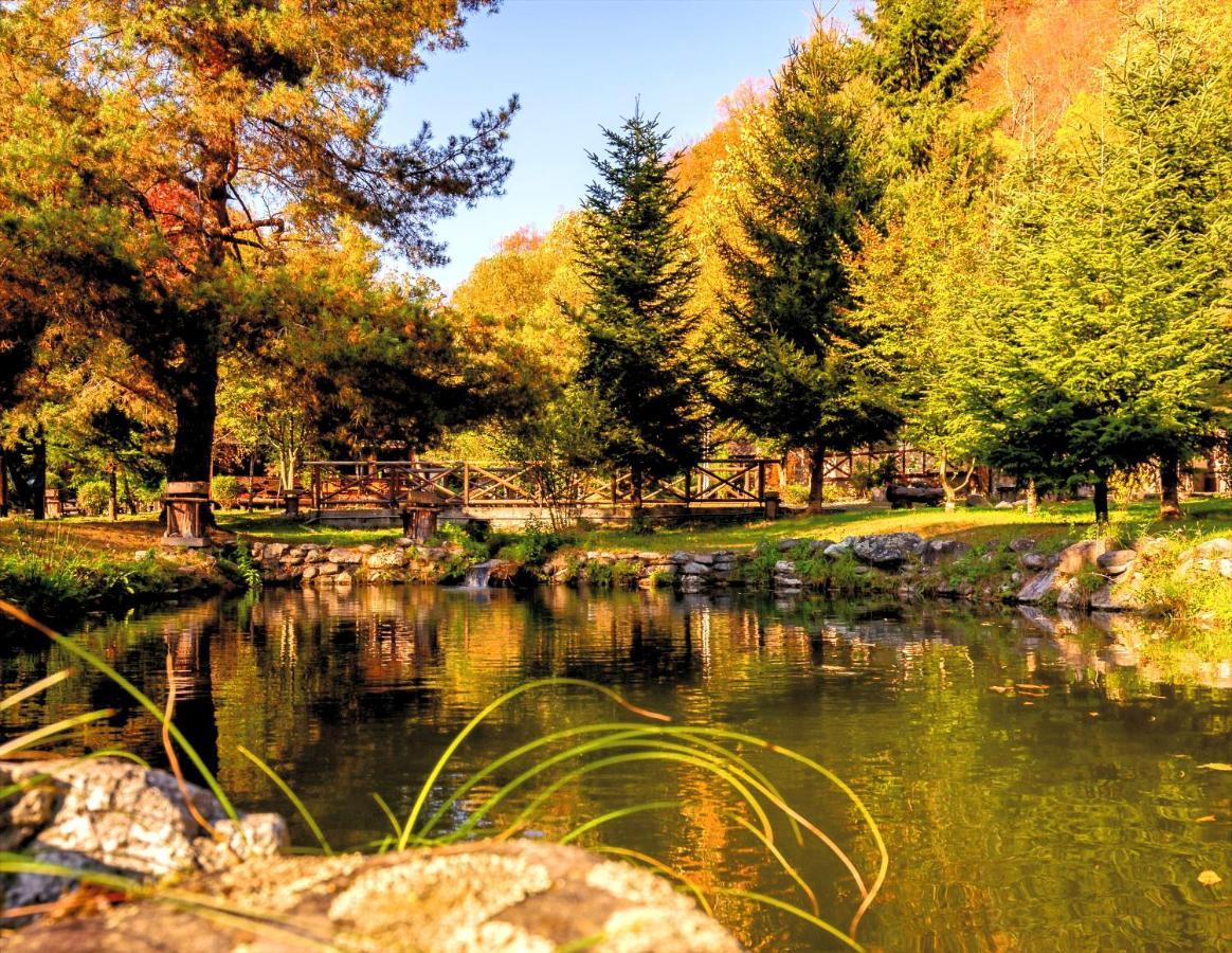 Fratii Jderi - Utopia Verde Brezoi Exteriér fotografie