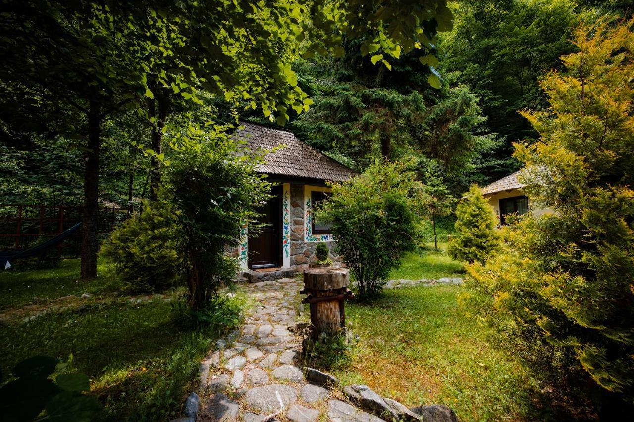 Fratii Jderi - Utopia Verde Brezoi Exteriér fotografie