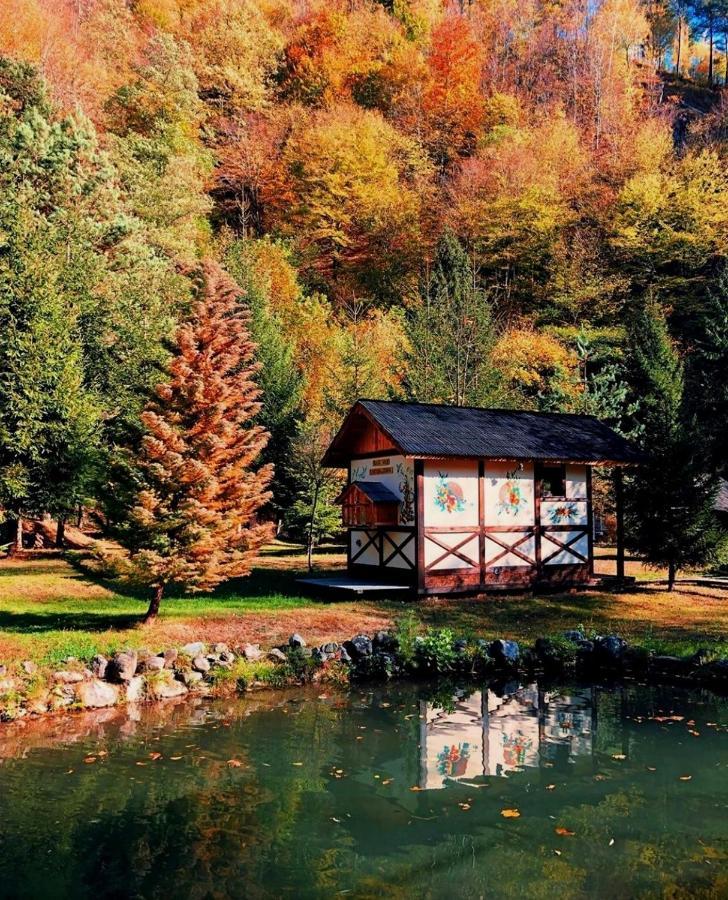 Fratii Jderi - Utopia Verde Brezoi Exteriér fotografie