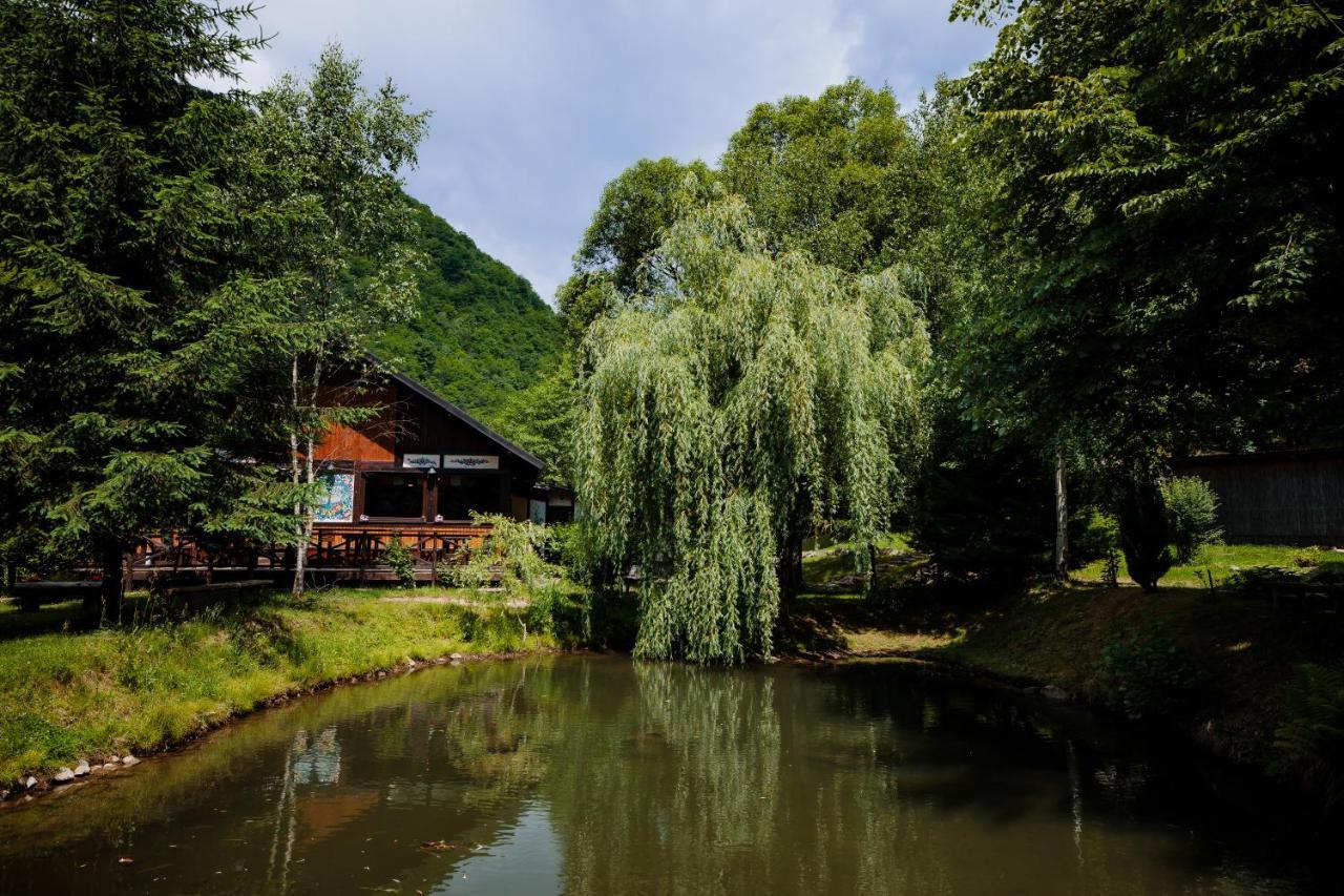 Fratii Jderi - Utopia Verde Brezoi Exteriér fotografie