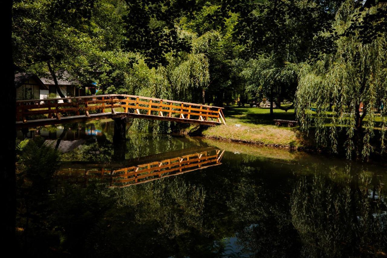 Fratii Jderi - Utopia Verde Brezoi Exteriér fotografie